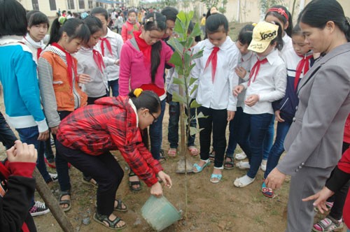 广义省李山岛举行新春植树节 - ảnh 1