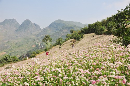 加强西北地区旅游联动促进经济发展 - ảnh 1