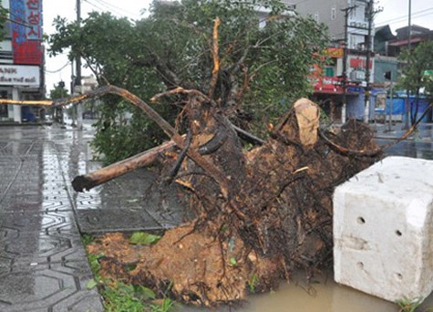 台风“海鸥”登陆越南广宁省和海防市 - ảnh 1