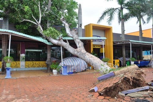  台风“森拉克”减弱为热带低气压  多地大雨 - ảnh 1