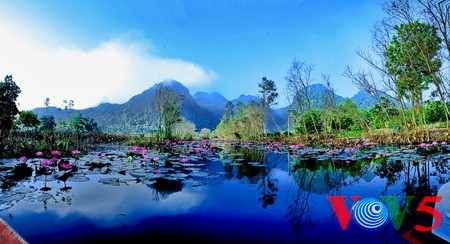 阿根廷媒体赞扬越南旅游魅力 - ảnh 1