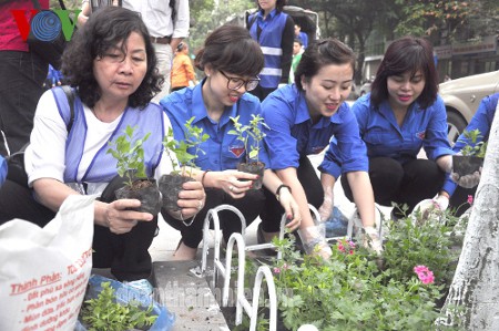 河内团市委建设青年花街 - ảnh 1