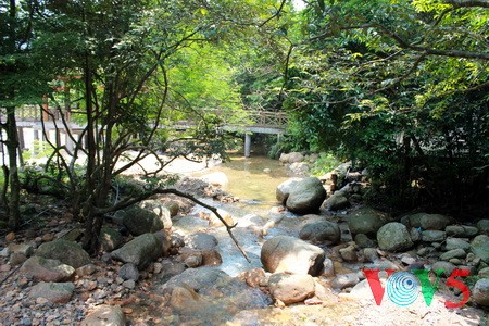 踏足竹林佛门圣地——安子圣峰 - ảnh 3