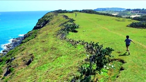 《绿地黄花》——表现越南乡村童年生活的成功之作 - ảnh 3