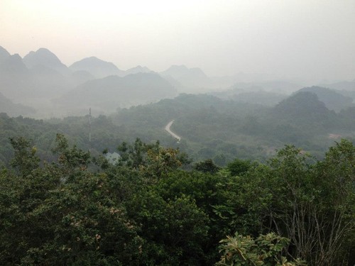 提高越南农场和林场土地管理与使用效果 - ảnh 1