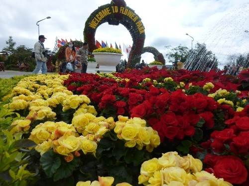 花卉节城市——大叻市 - ảnh 1