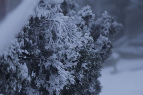 越南北部各地降雪 - ảnh 2