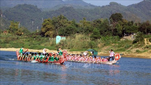 广义省李山岛县：热闹非凡的四灵赛船 - ảnh 1