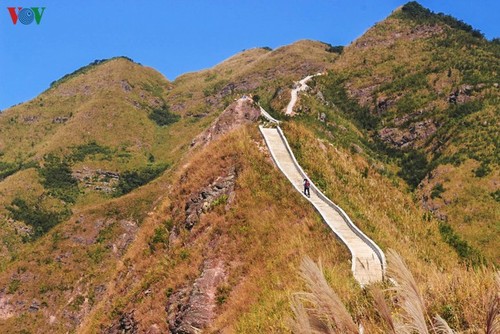 广宁山区秋景吸引游客 - ảnh 2