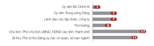 反腐斗争取得成效 - ảnh 2