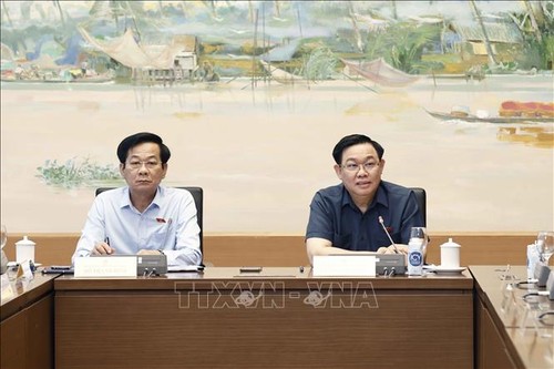 越南政府以尽可能高的成绩完成既定目标 - ảnh 1