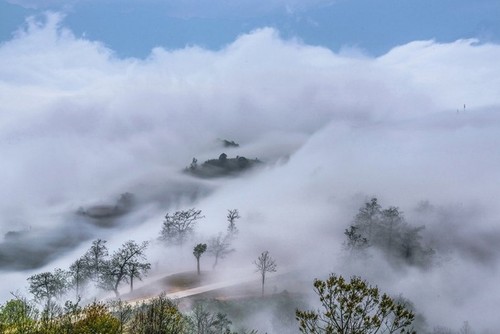 炫丽多彩的伊子风景 - ảnh 3