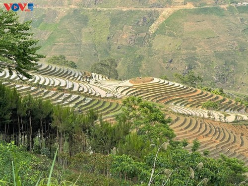 炫丽多彩的伊子风景 - ảnh 6