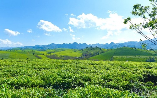 越南荣获2022年世界旅游大奖的地方 - ảnh 14