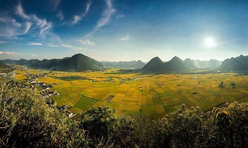 走遍全国，观赏各地金色稻田美景 - ảnh 5