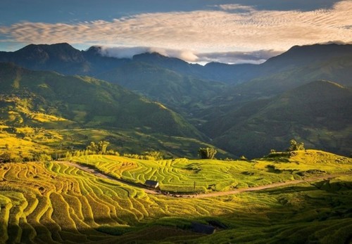 走遍全国，观赏各地金色稻田美景 - ảnh 8