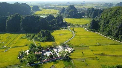 走遍全国，观赏各地金色稻田美景 - ảnh 14