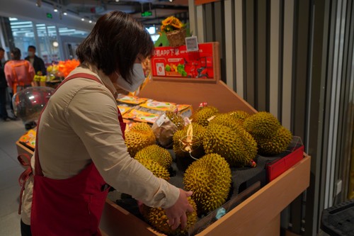 越共中央总书记阮富仲对中国的访问给两国人民带来切实利益 - ảnh 2