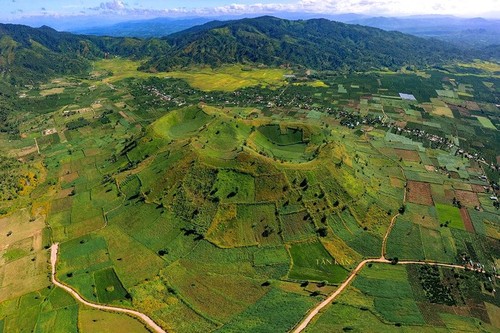 诸登亚火山上的肿柄菊花色 - ảnh 1