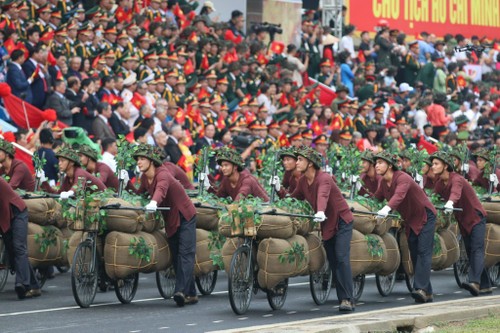 组图：奠边府大捷70周年阅兵游行 - ảnh 9