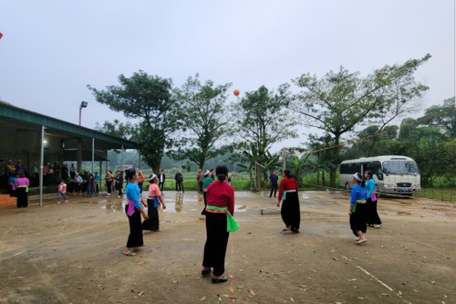 和平省保障居民生计和社会民生 - ảnh 1