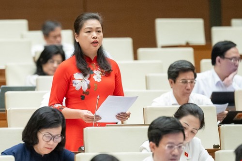 国会今天审议经济社会发展计划和国家财政预算执行结果补充报告 - ảnh 1