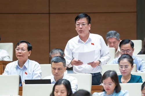 越南十五届国会七次会议第二阶段举行 - ảnh 3