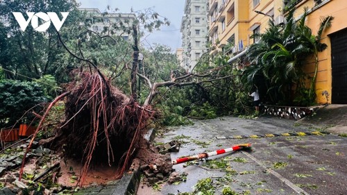 台风摩羯在多地造成重大损失，减弱为热带低压 - ảnh 1