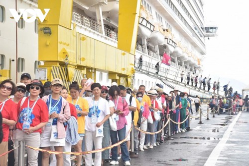 乘火车前往岘港的游客猛增 - ảnh 1