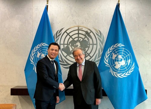联合国将越南视为国际社会值得信赖的伙伴 - ảnh 1