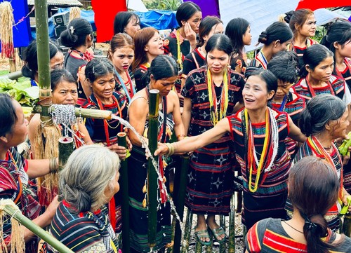 加东人独特的水槽节 - ảnh 3