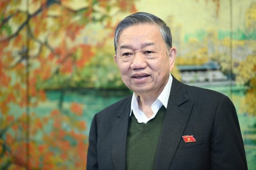 苏林：组织机构精简必须在十四大前完成 - ảnh 1