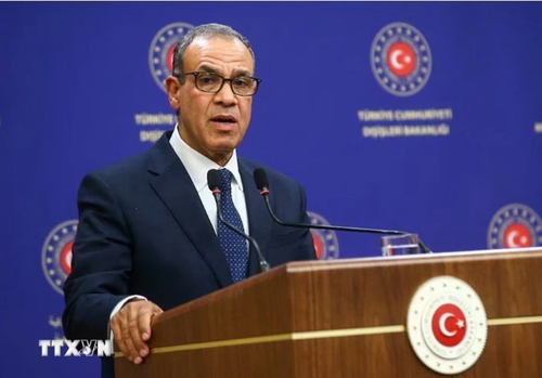 中东紧张局势：加沙问题阿拉伯峰会推迟 - ảnh 1