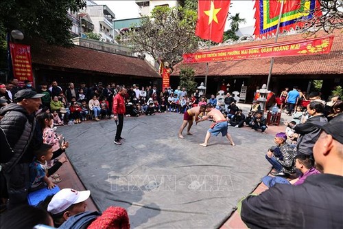 传统摔跤——首都初春庙会季节的独特文化符号 - ảnh 4