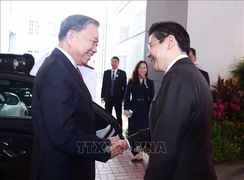 苏林总书记正式访问新加坡的欢迎仪式举行 - ảnh 2