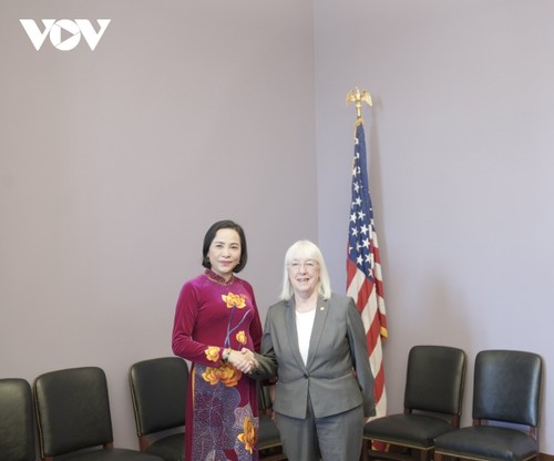 推动越美全面战略伙伴关系深入、务实、有效发展 - ảnh 1