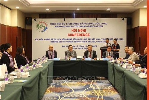 在中国市场推介九龙江平原旅游 - ảnh 1