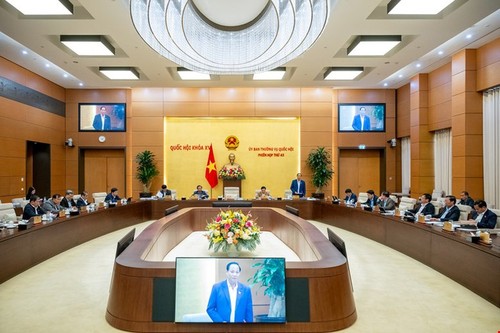 完善越南参加联合国维和部队的法律框架 - ảnh 1