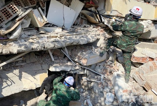 越南履行和平时期的国际使命 - ảnh 2