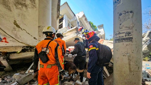 组图：越南救援队抵达缅甸首都地震灾区 - ảnh 5