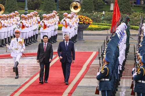 组图：梁强主持仪式欢迎比利时国王和王后对越南进行国事访问 - ảnh 2