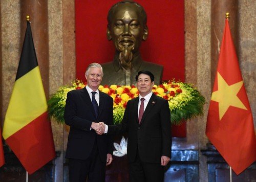 组图：梁强主持仪式欢迎比利时国王和王后对越南进行国事访问 - ảnh 4