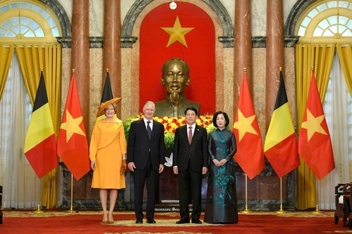 组图：梁强主持仪式欢迎比利时国王和王后对越南进行国事访问 - ảnh 3