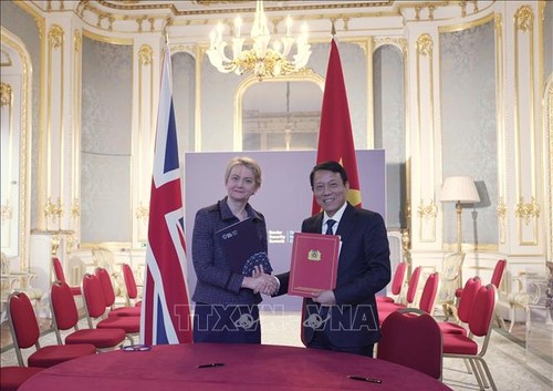 越南加强国际合作打击人口贩运和非法移民 - ảnh 1