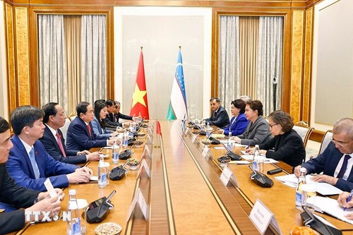 继续深化越南-乌兹别克斯坦在各领域的合作 - ảnh 2