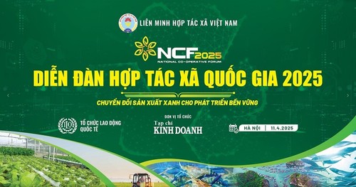 可持续发展的合作社和绿色转型趋势 - ảnh 1