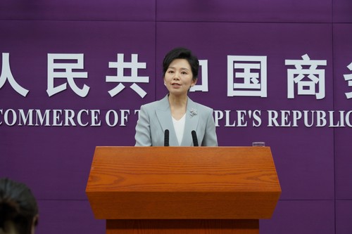 中国愿推动与越南经贸合作提质升级 - ảnh 1