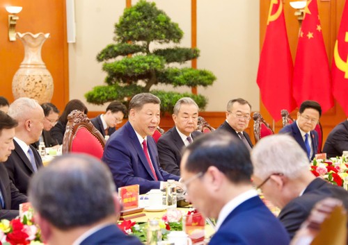 组图：苏林与习近平总书记、国家主席举行会谈 - ảnh 2