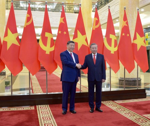 组图：苏林与习近平总书记、国家主席举行会谈 - ảnh 1