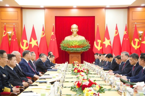 组图：苏林与习近平总书记、国家主席举行会谈 - ảnh 4